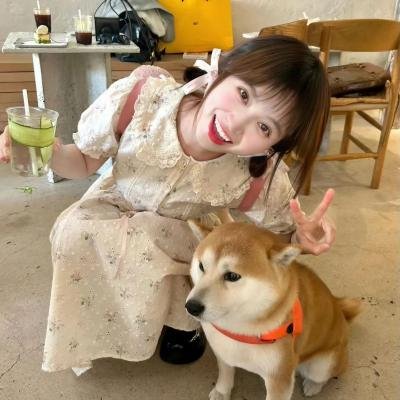 魔鬼碟仙