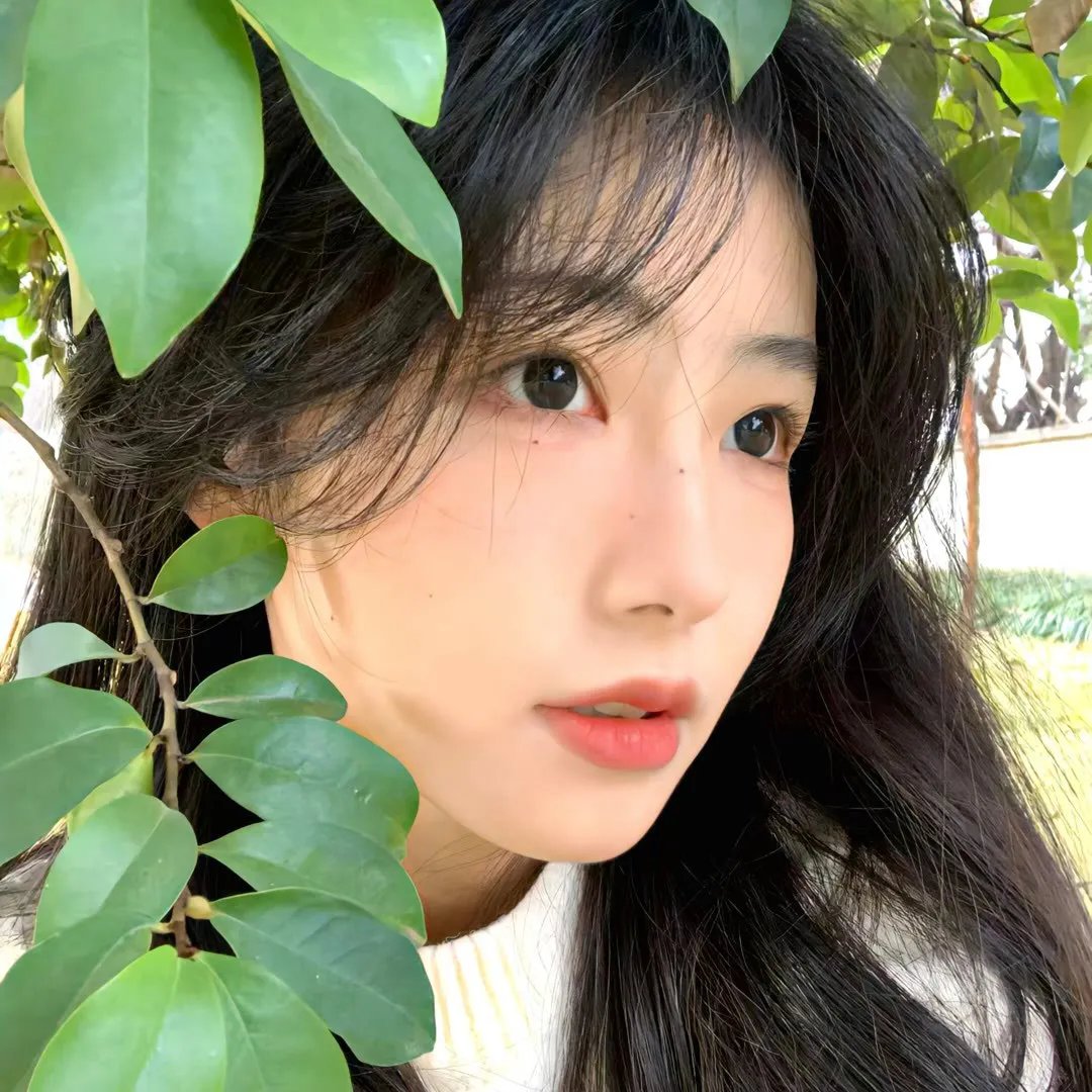 伴你走天涯