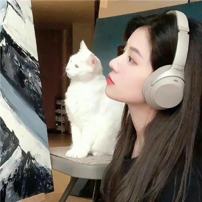 王子与海盗